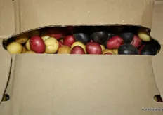 Mooie verzameling kleuren in deze aardappeldoos