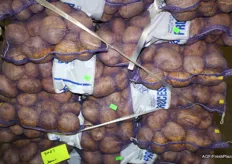 Industrie-aardappelen