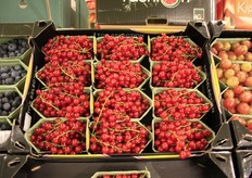 Close-up rode bessen