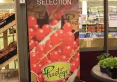 Prestige-lijn van Fruitmasters