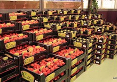 Prestige-lijn in beeld