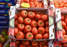 Flandria-tomaten