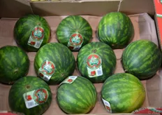 Mini-watermeloenen van Bouquet