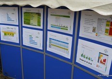 Verschillende mogelijkheden om de ziektes te bestrijden.