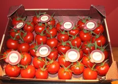 Hele mooie maar vooral smaakvolle tomaten. de nieuwe telg Joyn van Looye telers