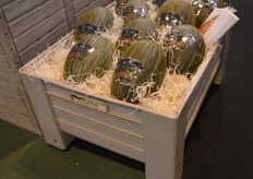 Bij Polymer stond een proefopstelling met containers voor de Retail van meloenenteler Tio Cacheje.