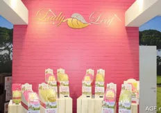 Lady Leaf: het nieuwe concept waarbij de blaadjes van witloof en andere bladgroenten worden verpakt met noten en gedroogd fruit. www.ladyleaf.com
