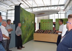 Veredelingsbedrijven hebben vele tomaten variëteiten ontwikkeld. Groentespecialisten kunnen kennis is over de toepassingsmogelijkheden goed overbrengen denken de Vrienden van ADN.