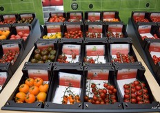 Nog meer tomatenvariëteiten