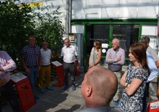 Er is veel te vertellen over de teelt van tomaten.