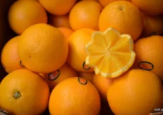Presentatie van de binnenkant van eigen merk sinaasappelen Cibel