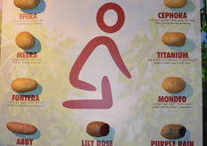 Alles op een rijtje met het Plantera kunstwerk.