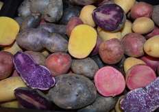 Met deze variaties wordt ook de jongere generatie gemotiveerd om vaker een aardappel te eten!