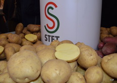 De Tyson wordt dit jaar op 10 hectare geteeld. Vorig jaar was dat nog 3,5 hectare pootgoed. Er is veel vraag naar deze aardappel daarom is gekozen voor een snelle areaal uitbreiding. Israël en Engeland zijn grote afnemers van dit product. Door de areaal uitbreiding kunnen vragende landen als Sudan, Turkije en Griekenland worden voorzien van deze aardappel. De Tyson is hoog resistent tegen schurft. Aan de plant komen zo'n 7 tot 10 knollen. Door een optimale teelthandleiding is dit uit te breiden naar 14 knollen per plant.