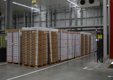 Een rondleiding door het nieuwe pand van Cool Port Rotterdam.