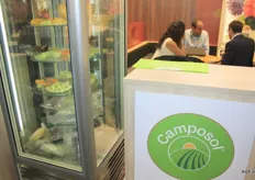 Camposol levert smoothie ingrediënten, zoals mango, en ook bewerkte avocadoproducten (IQF).