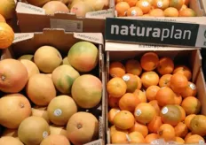 Veel producten zijn biologisch onder het Naturaplan-label. Zo ook deze grapefruit (3,38 euro) en clementines (4,45 euro/kg).