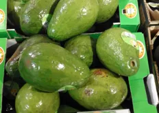 Avocado’s uit de Dominicaanse Republiek voor 4,71 euro per stuk.