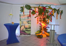 Een kleurrijke ontvangst voor de belangstellenden