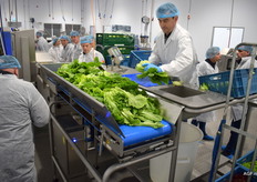 De onderkant wordt handmatig afgesneden