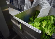 Zorgen voor een goede geleiding