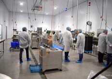 Overzicht van de verschillende productielijnen