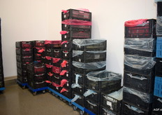 Bio blijft herkenbaar aan de rode verpakking