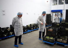 Verpakte en versneden groenten opslag klaar voor transport