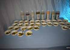 Voorbeelden van makkelijke maaltijden die veel groente bevatten met een dressing van Henri