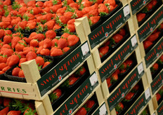 De handel in Lambada-aardbeien verloopt steeds beter.