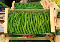 Vroegop-Windig richt zich nog altijd op de import uit Turkije. Het gaat hier echter niet meer om handel voor de echte prijsjagers. De allochtone consument en dus ook de allochtone detaillist wil tegenwoordig een goede kwaliteit.