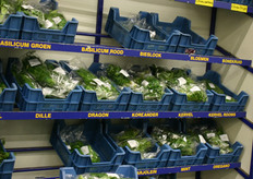 Vroegop-Windig heeft zich ook gespecialiseerd in kruiden. Het assortiment bevat een breed scala aan verse kruiden.