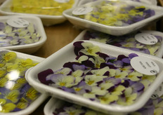 Maar ook eetbare bloemen zijn leverbaar bij Vroegop-Windig.