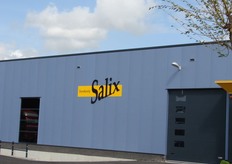 Paprikakwekerij Salix van Ben Kleijweg