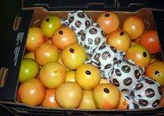 Royal van Namen importeert ook grapefruit uit Zuid-Afrika. Op deze foto de variëteit Star Ruby.