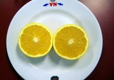 Navel-sinaasappel uit Zuid-Afrika.
