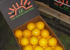 Het resultaat: citrus uit Zuid-Afrika bij Origin Fruit Direct.