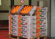 Citrus van het merk Bollo bij Pauwels.