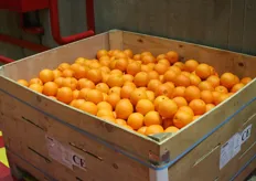 Sinaasappelen in bulk.