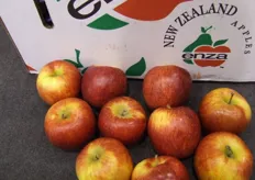 nieuwe Nieuw-Zeelands appelras: de ENVY