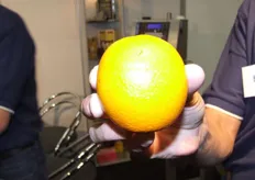 Sinaasappelen via laser voorzien van een merk werd gedemonstreerd bij Elink.