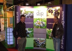 Promotie van blauwe bessen door Marcel en Leon Driesen.