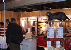 Plaagdierbestrijding bij Protekta.