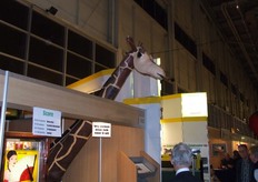 Hier steken ze hun nek echt ver uit...