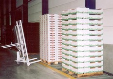 Volle pallets worden met specialesteekwagen op de rollenband gezet