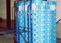 Speciale steekwagen onder volle pallet met opzetdozen