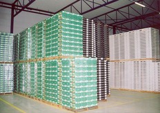 Opslag pallets opzetdozen in expeditiehal