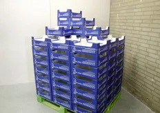 De Jong Verpakkingen zet de dozen nu niet alleen in elkaar, maar kan ze ook zelf maken. In april is er namelijk een eigen golfkartonmachine in gebruik genomen.