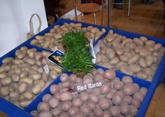 Aardappelen, aardappelen en nog eens aardappelen...