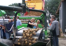 Het verladen van de zojuist gerooide aardappelen.